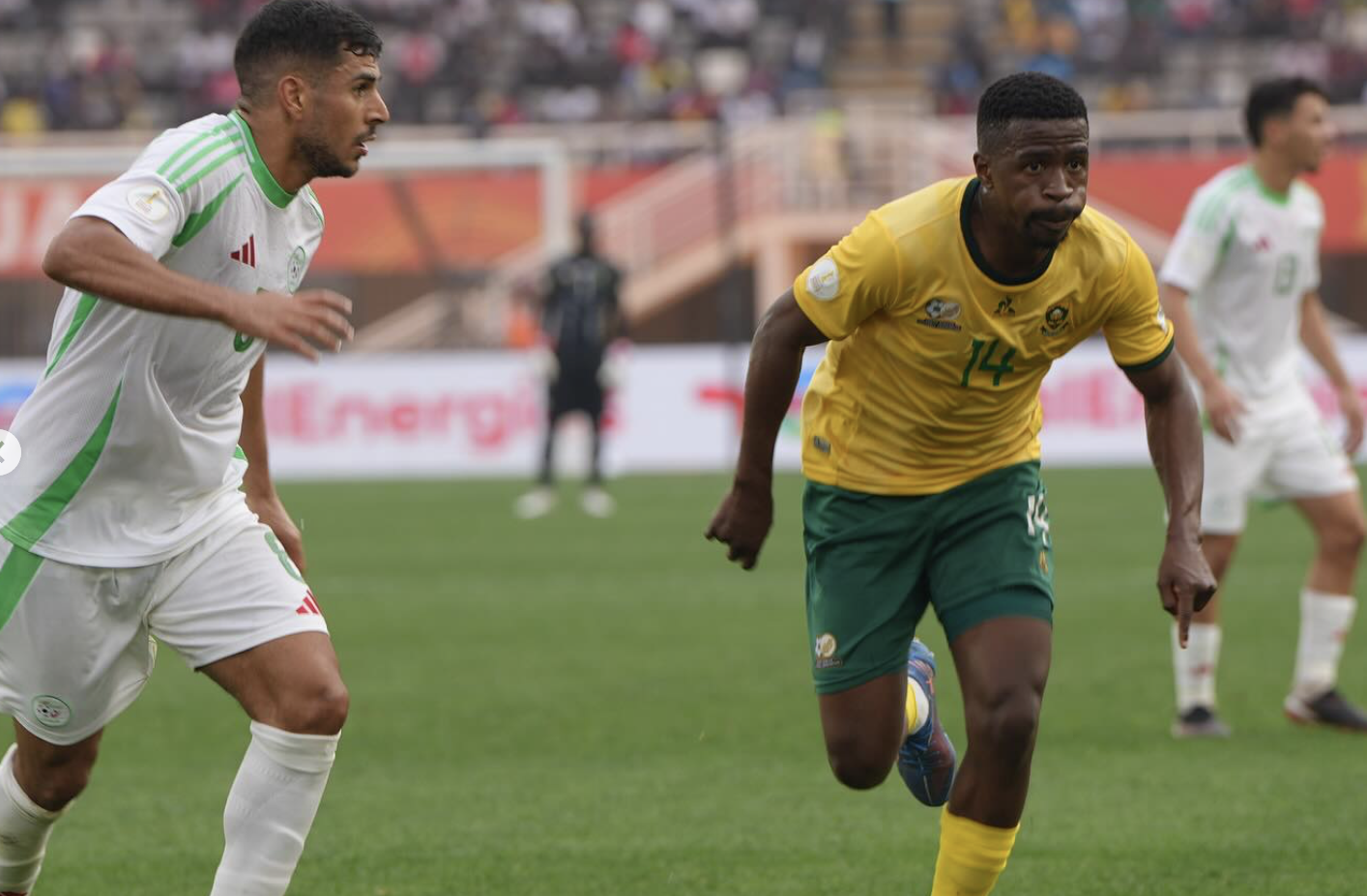 Terrence Mashego in action against Algeria at CHAN.