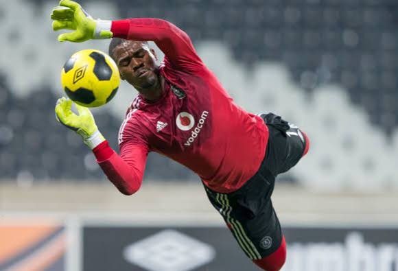 Senzo Meyiwa dive