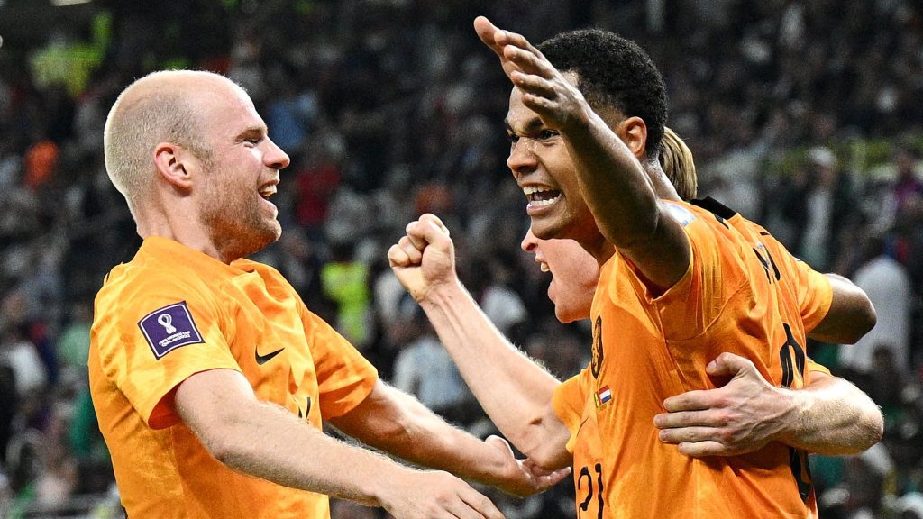 Netherlands celebrate against Senegal