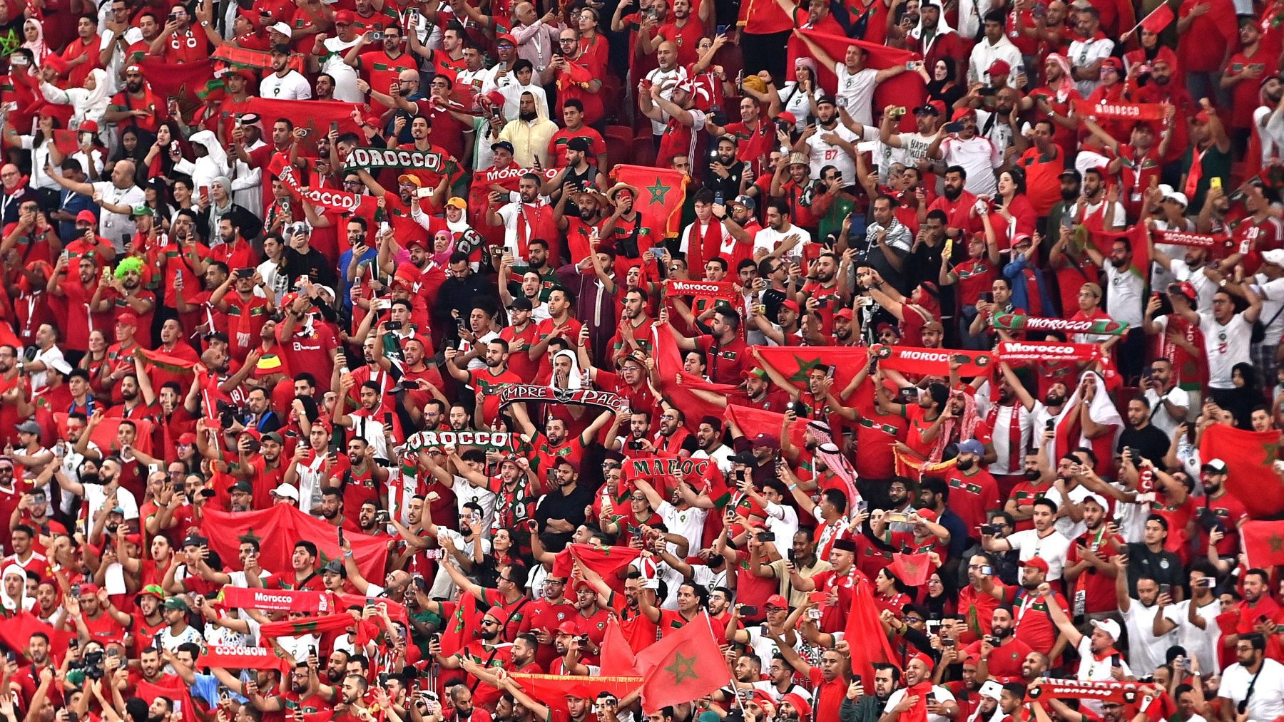 Morocco fans celebrate in Qatar