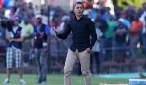 Maritzburg United coach Fadlu Davids. Photo by Maritzburg United