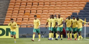 Bafana Bafana players