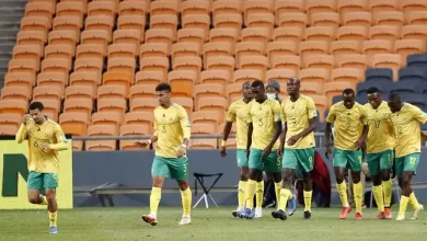 Bafana Bafana players