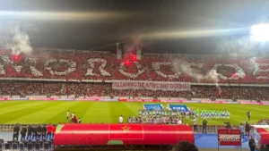 Morocco fans at the Brazil game