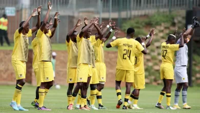 Black Leopards in action in the league