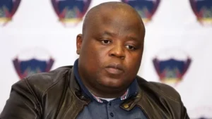 Chippa United Chairman Mpengesi.