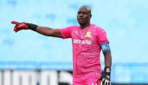 Denis Onyango in Mamelodi Sundowns colours