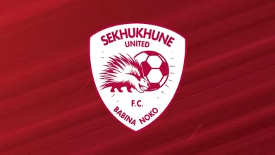 Sekhukhune United logo