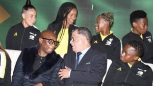 Minster Zizi Kodwa and Danny Jordaan.