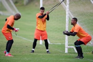 Bafana Bafana goalkeepers