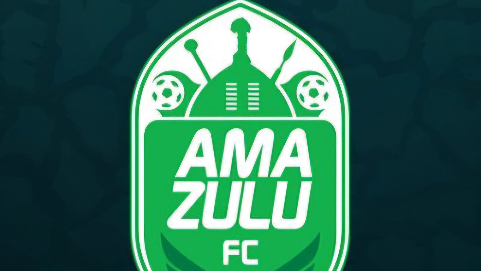 AmaZulu FC Club official banned by PSL for verbal harassment  