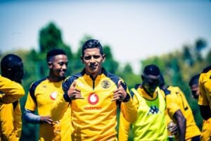 Former Kaizer Chiefs midfielder Gert Schalkwyk comments on Edson Castillo's form