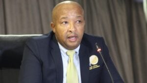 SAFA technical director Walter Steenbok.
