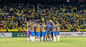 Mamelodi Sundowns players