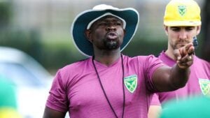 Golden Arrows are doing well under veteran coach Steve Komphela
