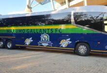 Marumo Gallants Bus