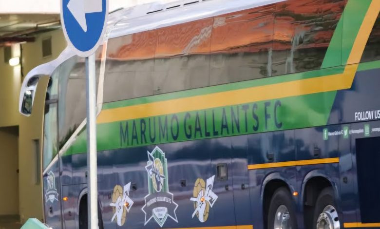 Marumo Gallants offload 15 players