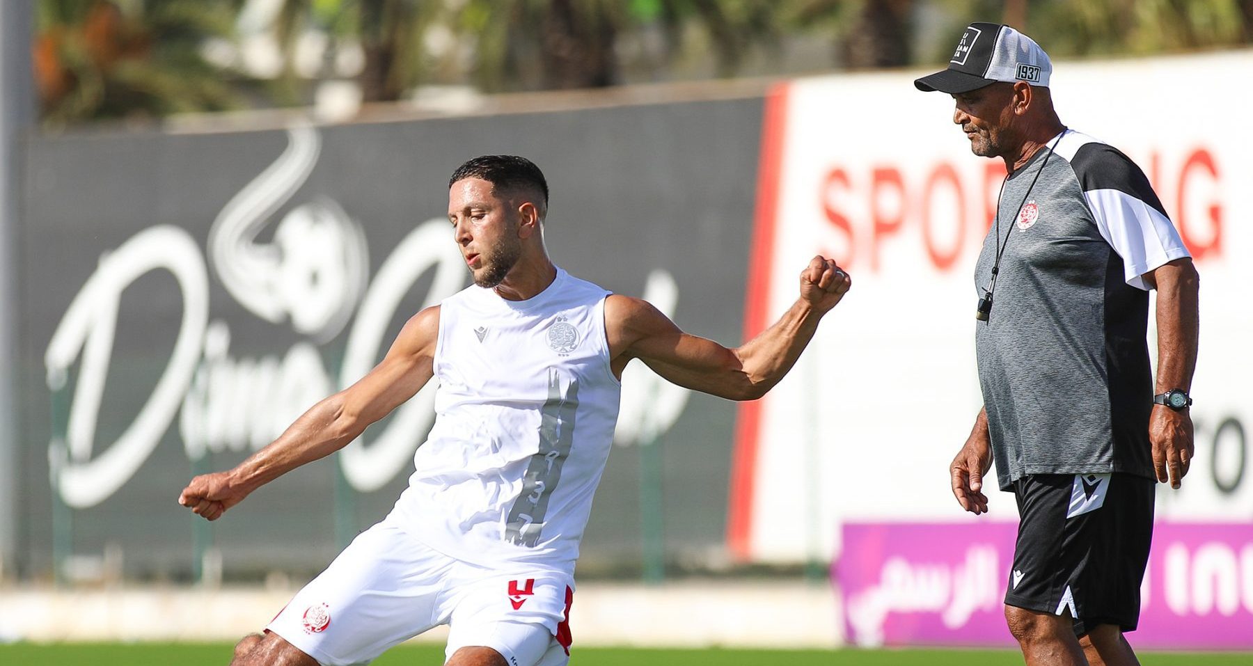 Allan Freese at Wydad Casablanca