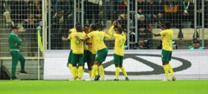 Bafana Bafana players