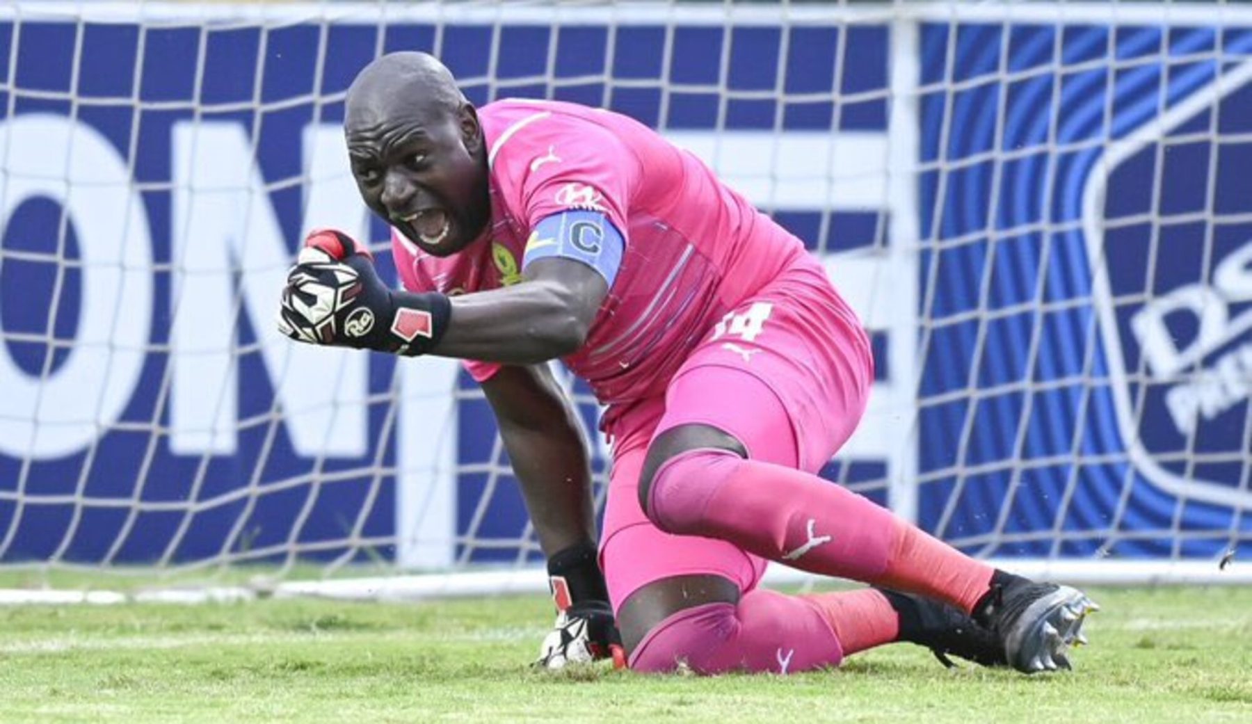 Mamelodi Sundowns goalkeeper Denis Onyango 