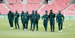 While the nation grapples on who will be Themba Zwane's fitting replacement, former PSL winger Aubrey Ngoma has implored PSL clubs and Bafana Bafana coach Hugo Broos to protect three exceltional players.