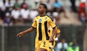 DDC wrap: Stellenbosch ascend to top as Chiefs drop points