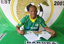 Former Royal AM midfielder Lantshene Phalane has joined Motsepe Foundation Championship side Baroka FC on a one-year deal.