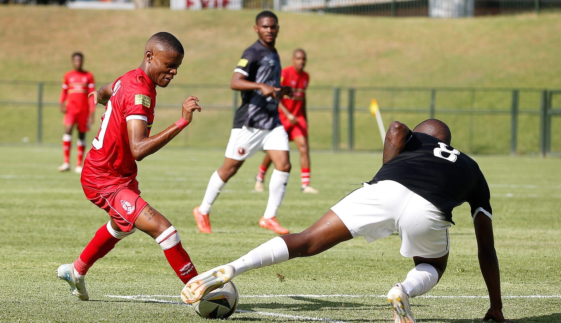 AmaTuks in action against Hungry Lions