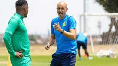 Miguel Cardoso at Mamelodi Sundowns