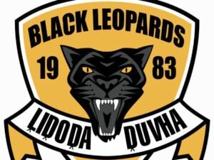 Ex-Black Leopards owner passes away