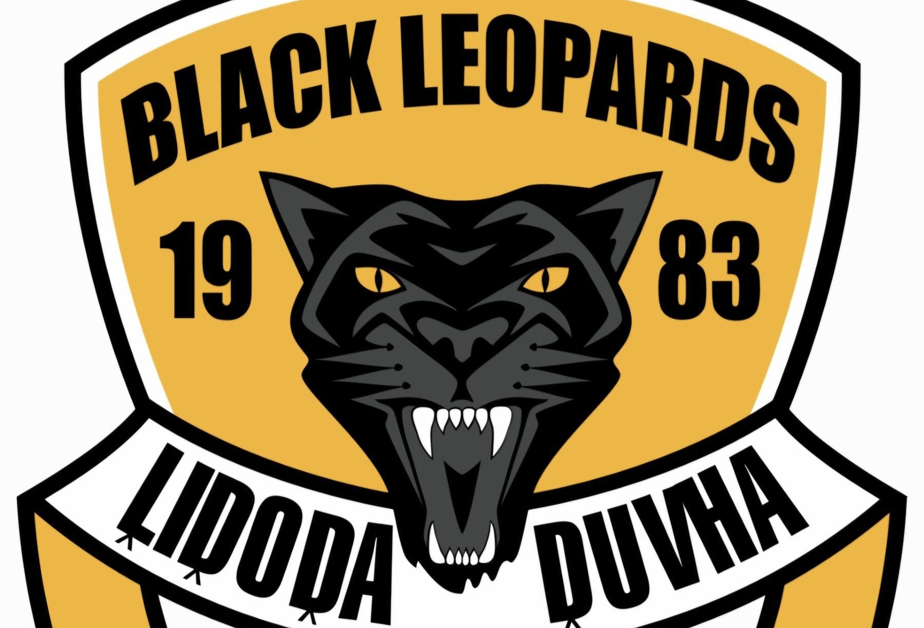 Motsepe Foundation Championship Black Leopards club logo 