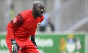 Edmore Sibanda in Golden Arrows colors