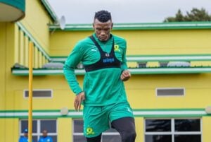Mamelodi Sundowns defender Mothobi Mvala