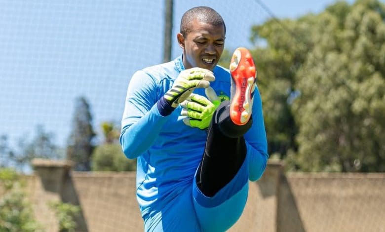 Jody February at Mamelodi Sundowns
