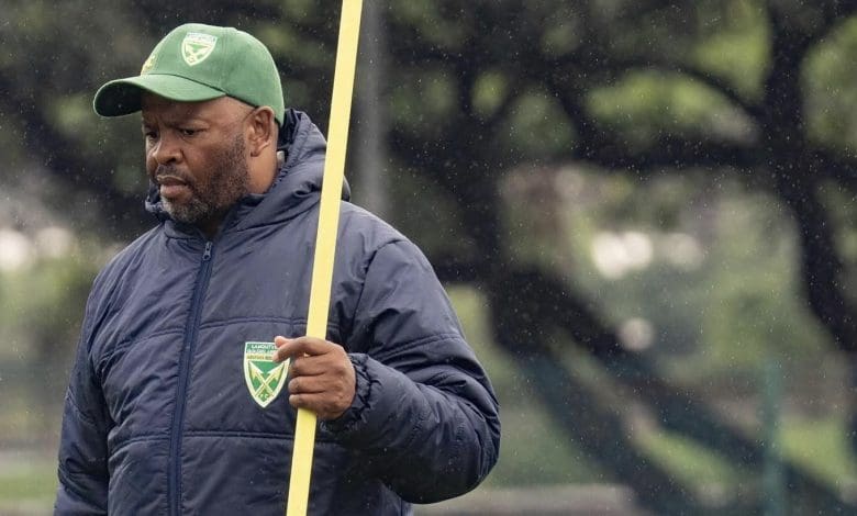 Golden Arrows coach Manqoba Mngqithi during training session