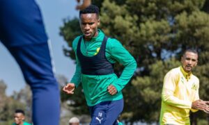 Themba Zwane at Mamelodi Sundowns