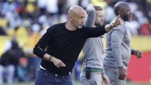 Mamelodi Sundowns coach Miguel Cardoso giving instructions