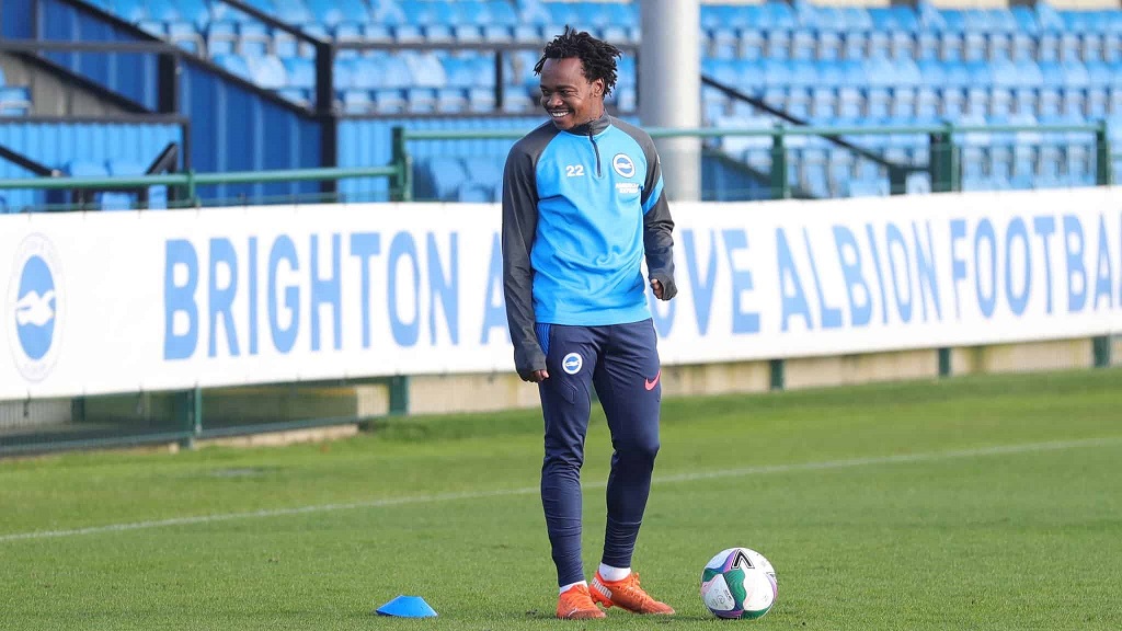 Percy Tau at Brighton
