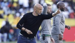 Mamelodi Sundowns coach Miguel Cardoso giving instructions to the team