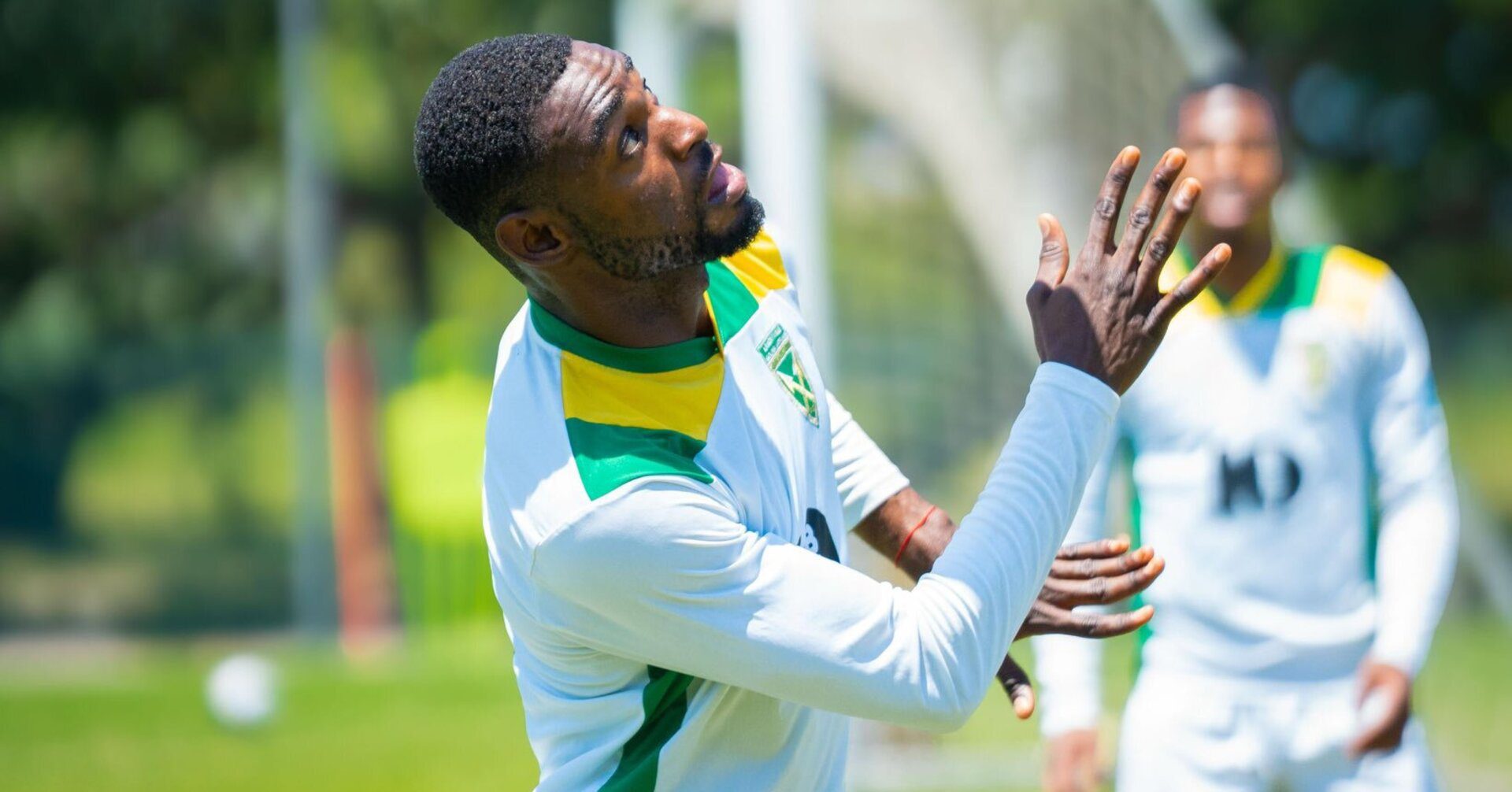 Junior Dion, Golden Arrows