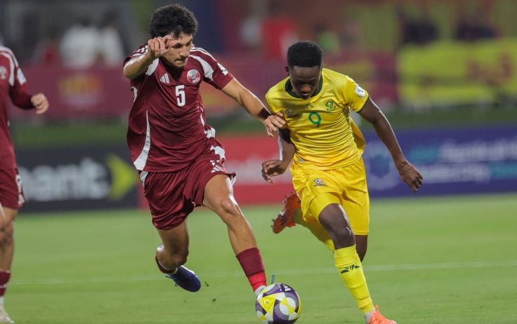 Shaun Els in action for Amajimbos