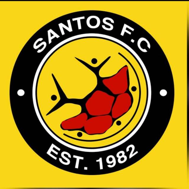 Santos FC reclaim ABC Motsepe League place