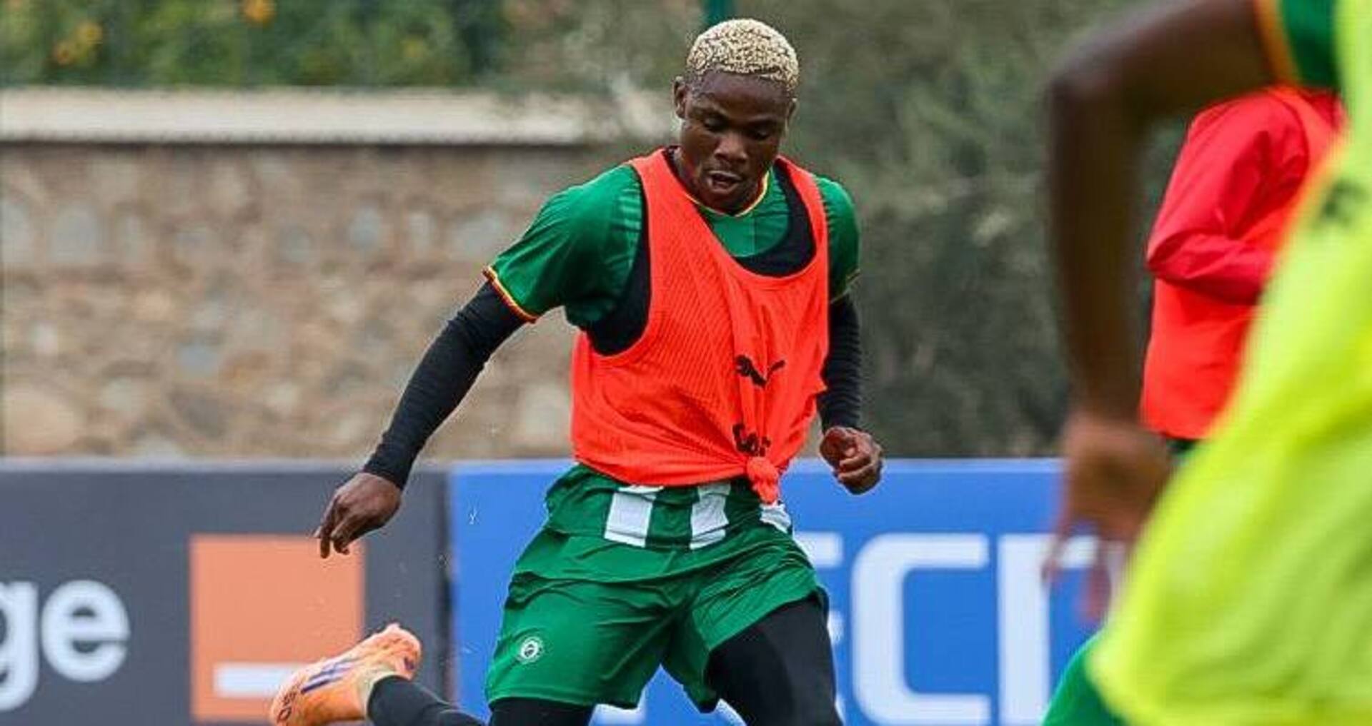 Daniel Msendami, Zimbabwe