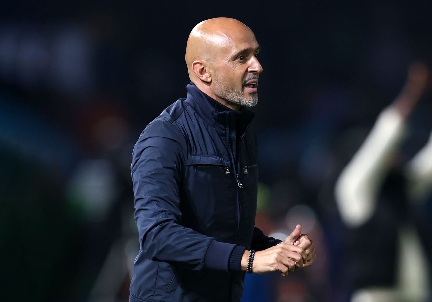 Miguel Cardoso at Mamelodi Sundowns