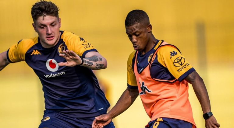 Ashley Du Preez at Kaizer Chiefs