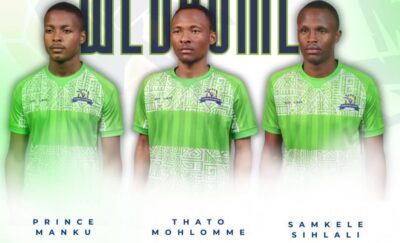 Marumo Gallants new signings