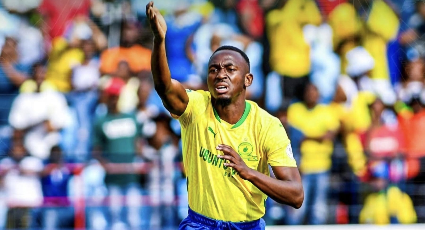 Peter Shalulile at Mamelodi Sundowns