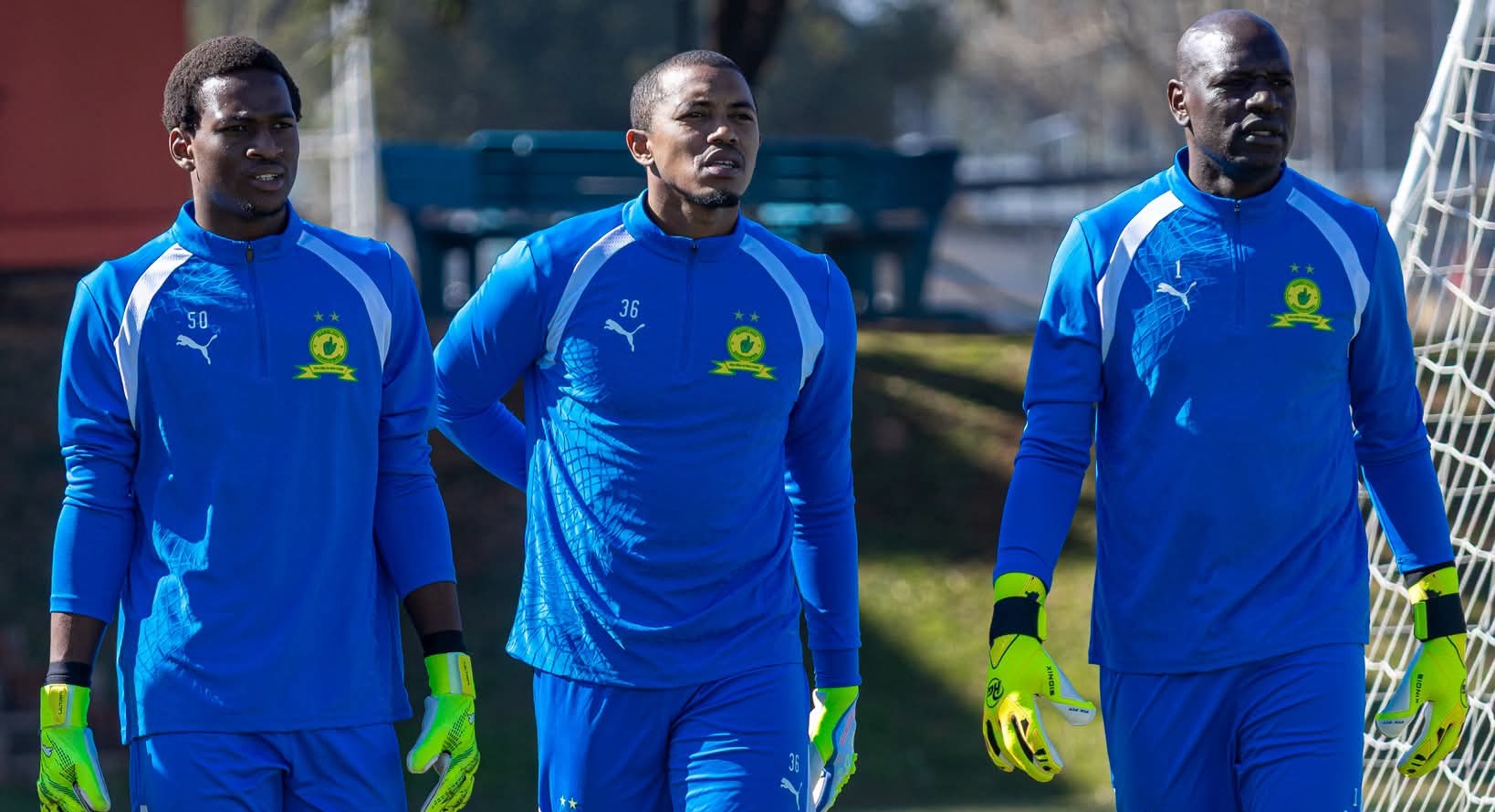 Jody February in Mamelodi Sundowns colours